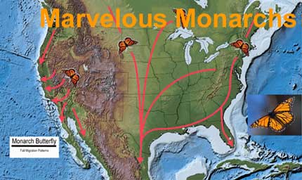 marvelous_monarchs-featured