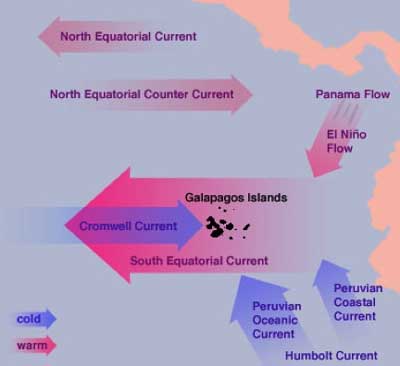 galapagos_currents