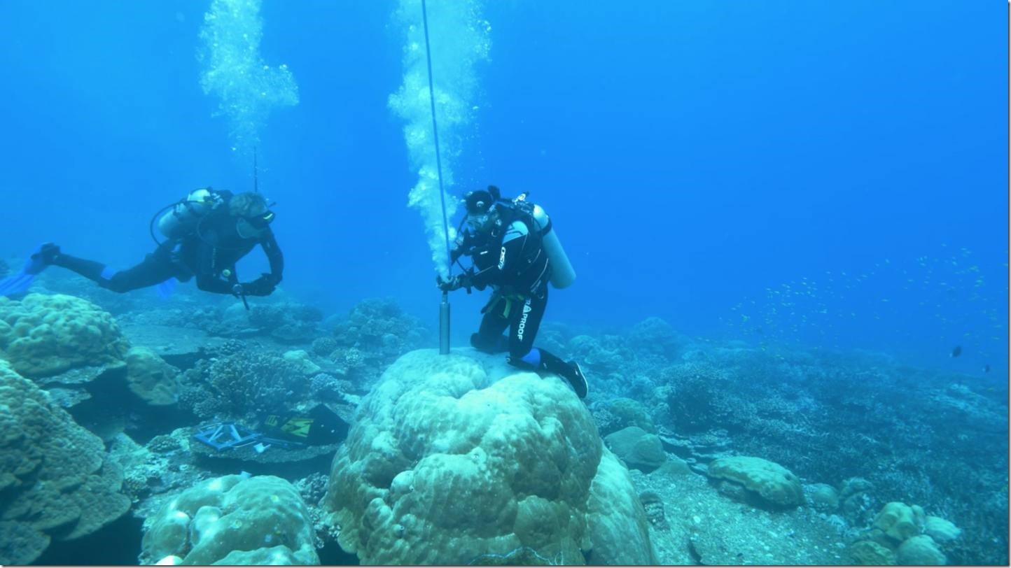 IMAGE: Researchers dive down to corals to extract coral cores that will give us information about Earth's past climate. Credit: Picture: Jason Turl