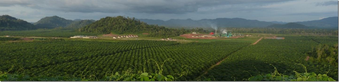 IMAGE: The view of an oil palm plantation in Indonesia. Credit: Douglas Sheil