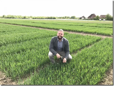 This is Kai Voss-Fels at the wheat trial site. Credit: Kai Voss-Fels