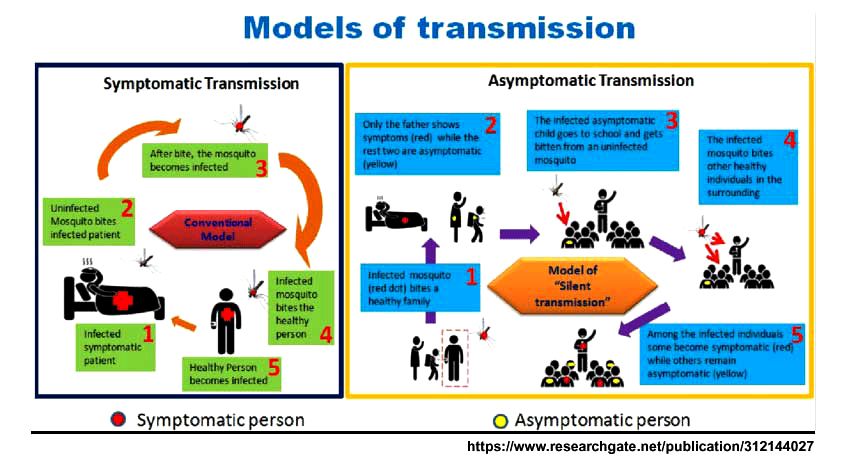 models_of_transmission