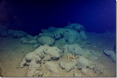 IMAGE: Over 90 per cent of the Earth's basalt rock is located on the deep ocean floor, such as this pillow lava bed seen at Endeavour (depth, 2,195 metres). Credit: Ocean Networks Canada/CSSF-ROPOS