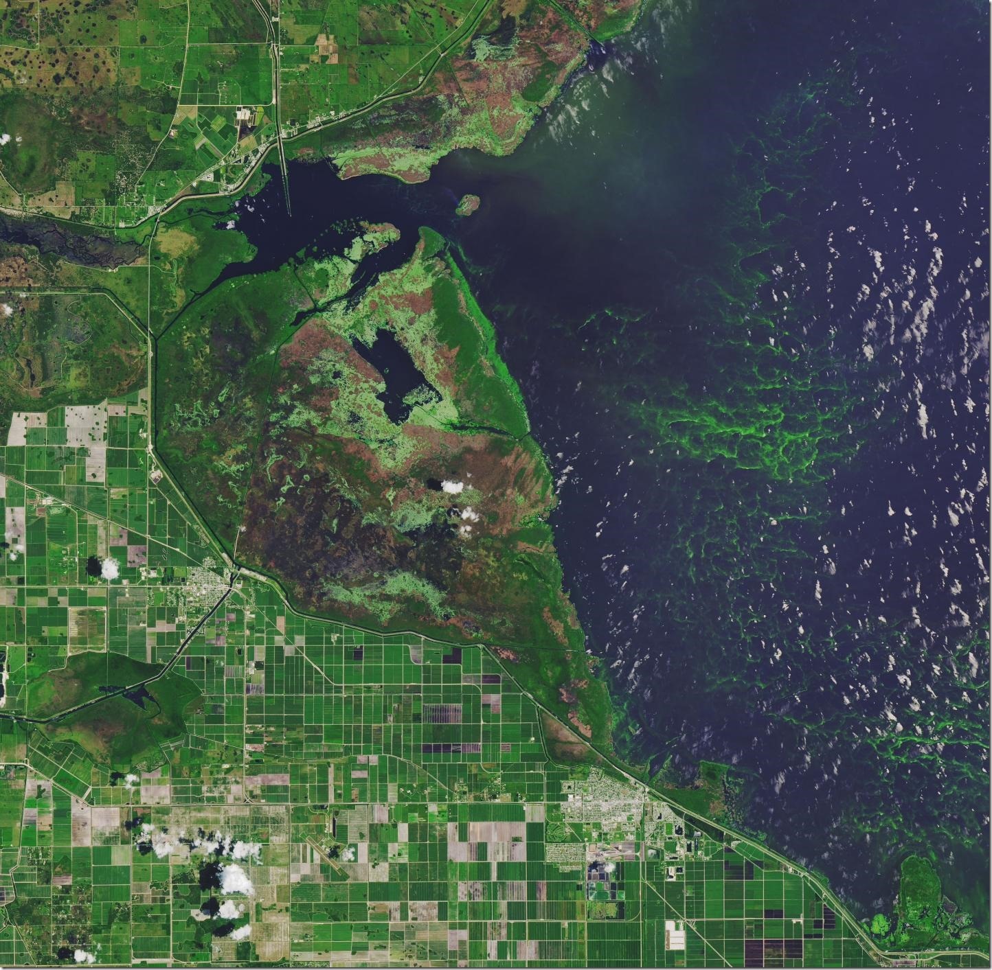 Ho, Michalak, and Pahlevan's study of algal blooms in lakes over a 30-year period found that Florida's Lake Okeechobee deteriorated. Toxic algal blooms resulted in states of emergency being declared in Florida in 2016 and 2018. Credit NASA Earth Observatory image made by Joshua Stevens, using Landsat data from the U.S. Geological Survey.