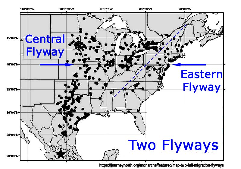 two_flyways