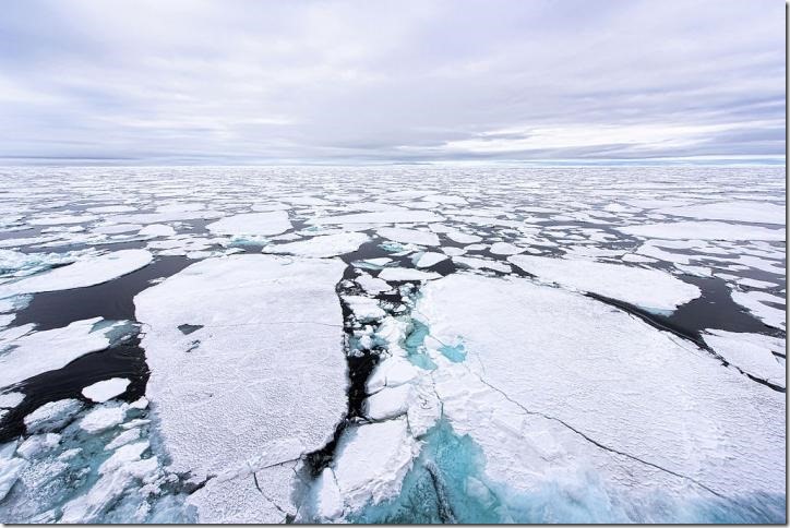 Sea ice at the North Pole in 2015. Credit: Christopher Michel