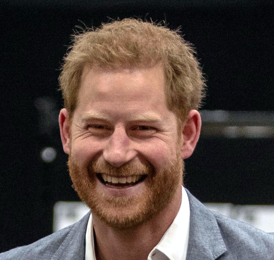 Prince Harry: Max Two Children for Climate Change
