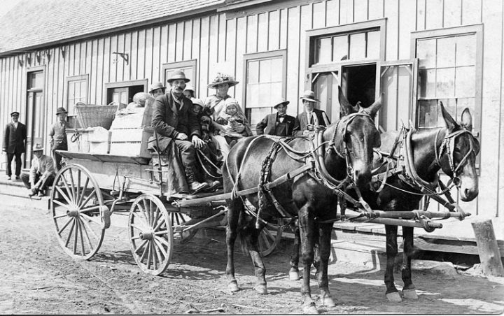 Mule wagon loaded with personal belongings