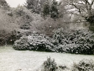 snow brittany April 2021.png