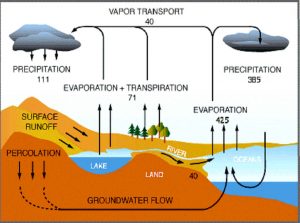 global water_cycle.jpg