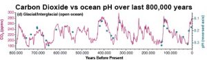 Historic Ocean pH Levels.jpg
