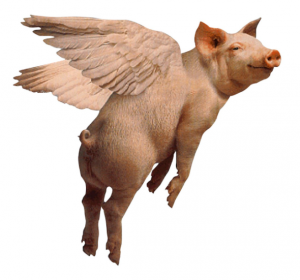 flying pig.PNG