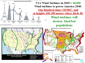 wind turbine and bird-bat-insect deaths.png