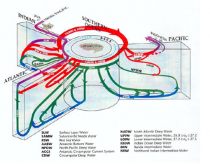 THC Antarctic 3D diagram.PNG