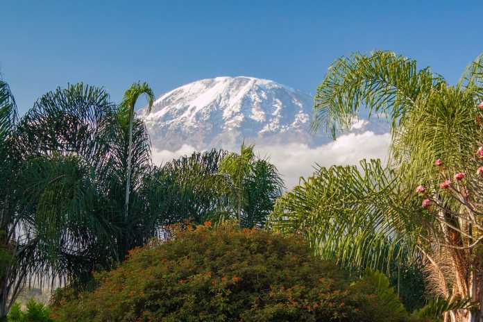 Snowfall EVERY DAY Atop Kilimanjaro – Where Is Al Gore?