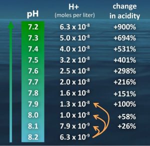 pH in percentage change.jpg