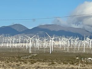 Alta Wind Farm.jpg