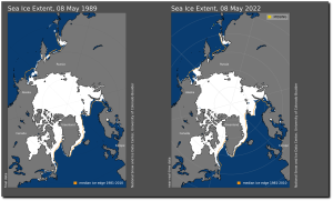 Arctic sea ice 1989-2022.png