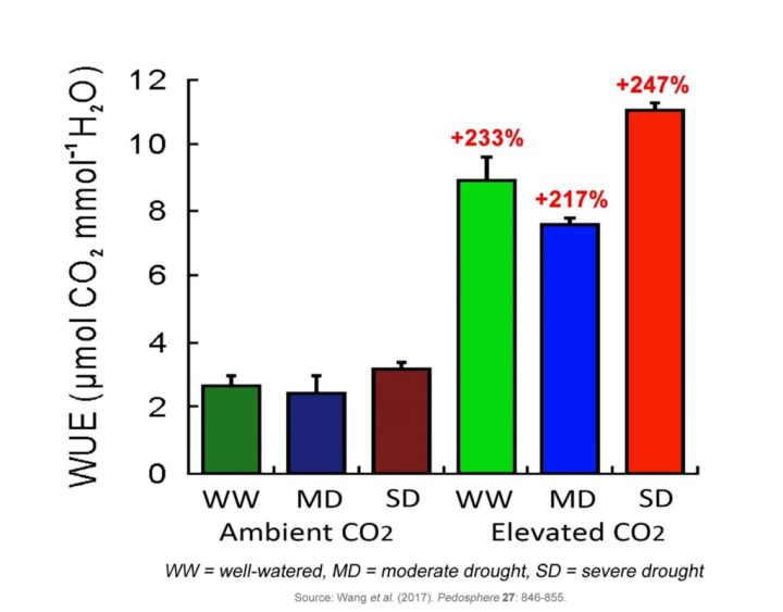 Pengayaan CO2 Meningkatkan Efisiensi Penggunaan Air Tanaman – Bertambah Dengan Itu?