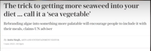 THE TRICK TO SEAWEED INTO YOUR DIET*.png